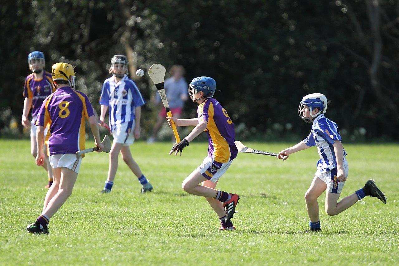 Hurling Féile Photos