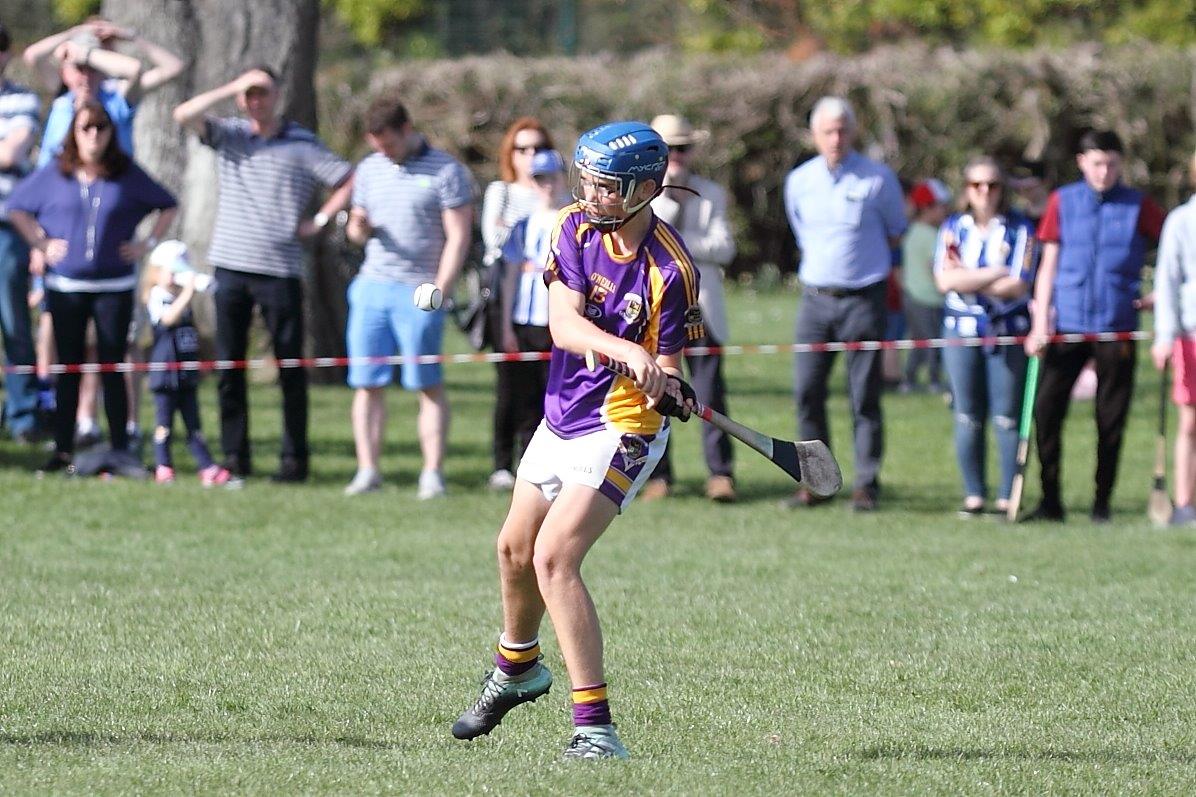 Hurling Féile Photos