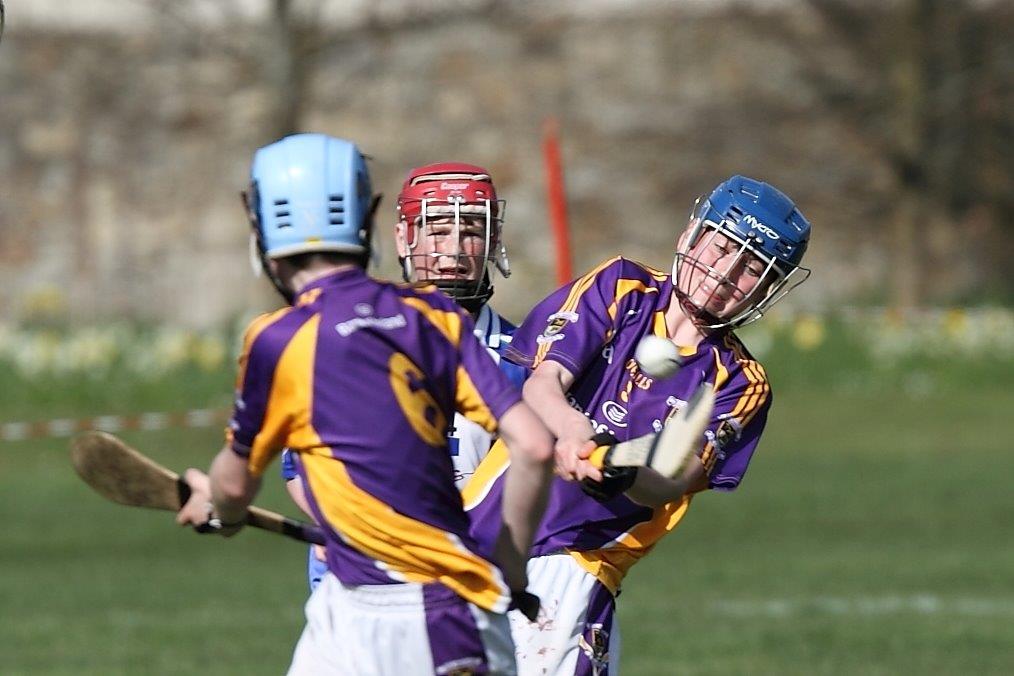 Hurling Féile Photos