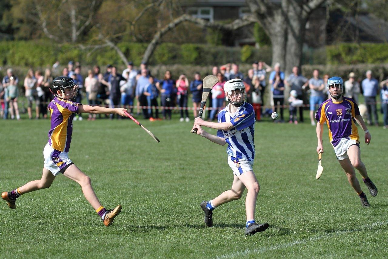 Hurling Féile Photos