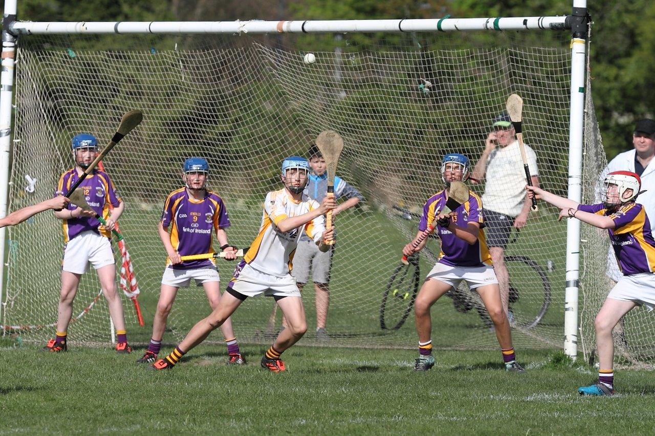 Hurling Féile Photos