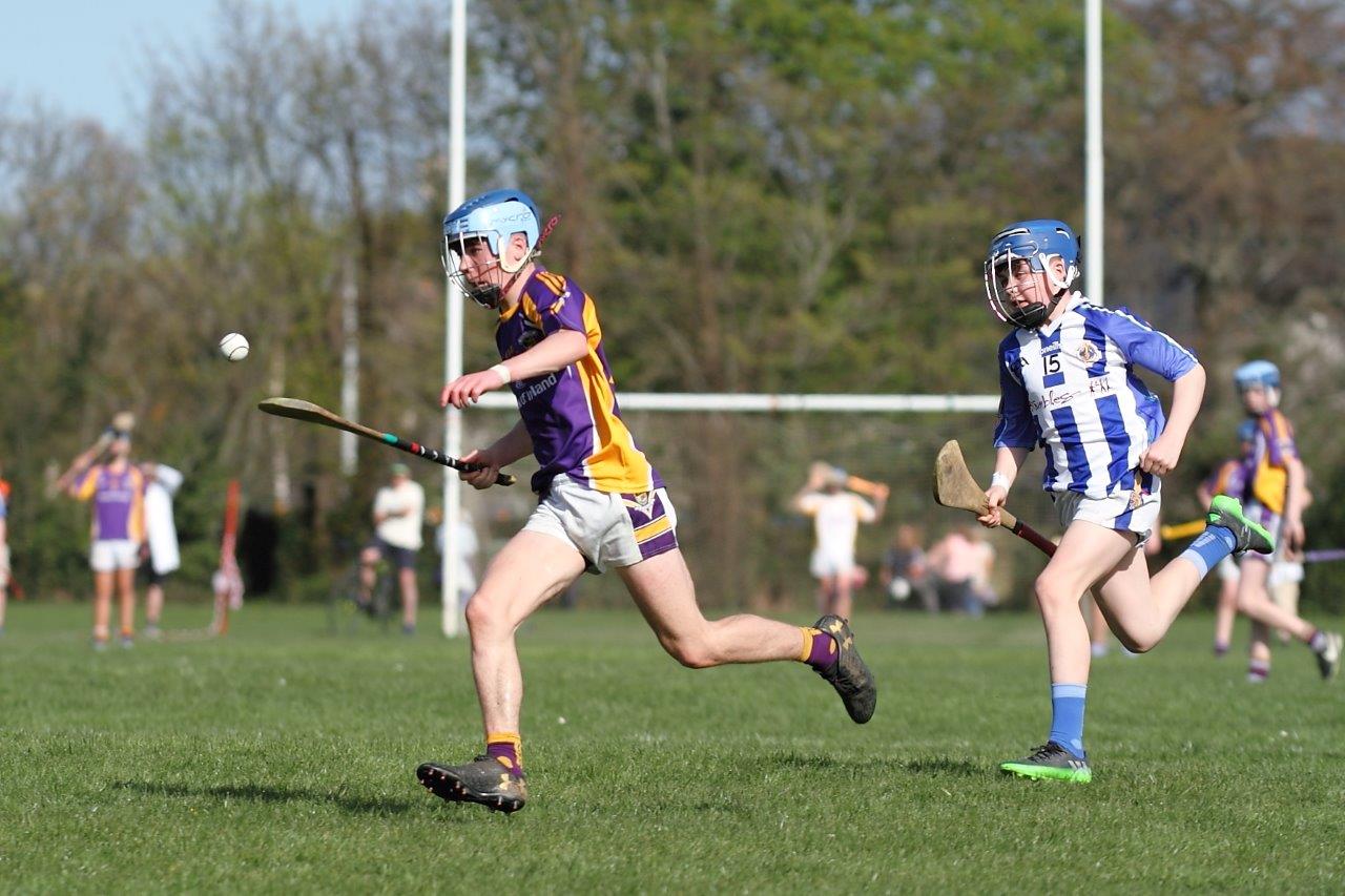 Hurling Féile Photos