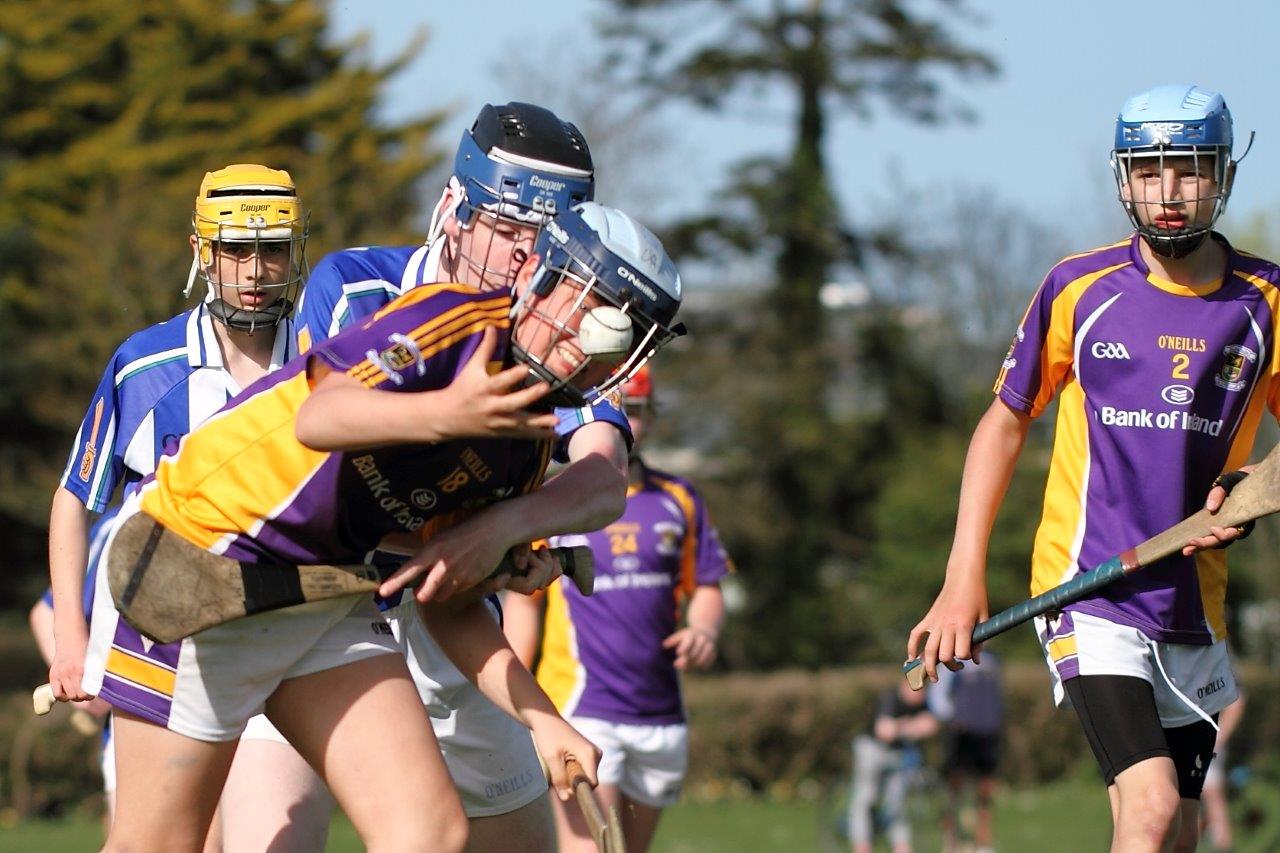 Hurling Féile Photos