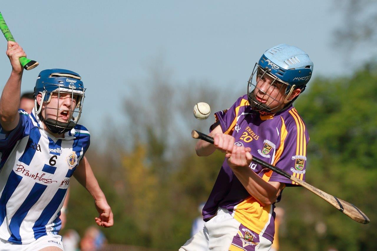 Hurling Féile Photos