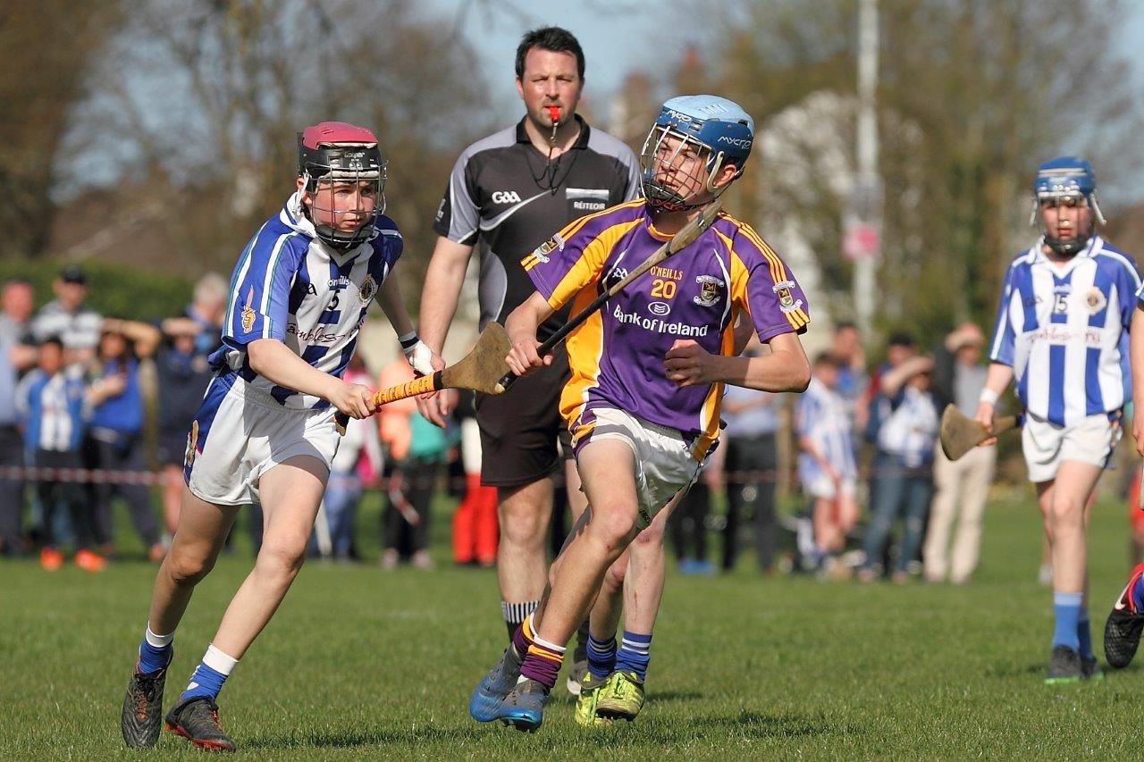 Hurling Féile Photos