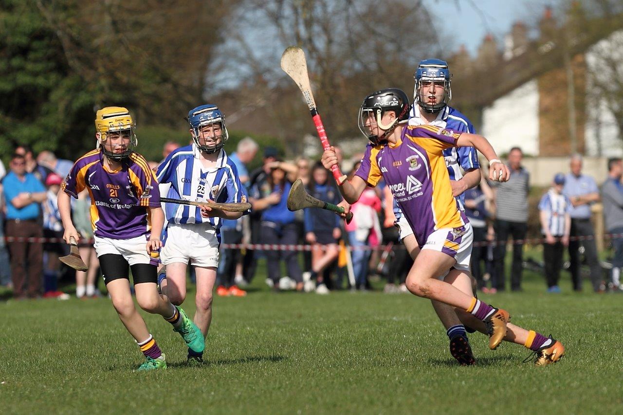 Hurling Féile Photos