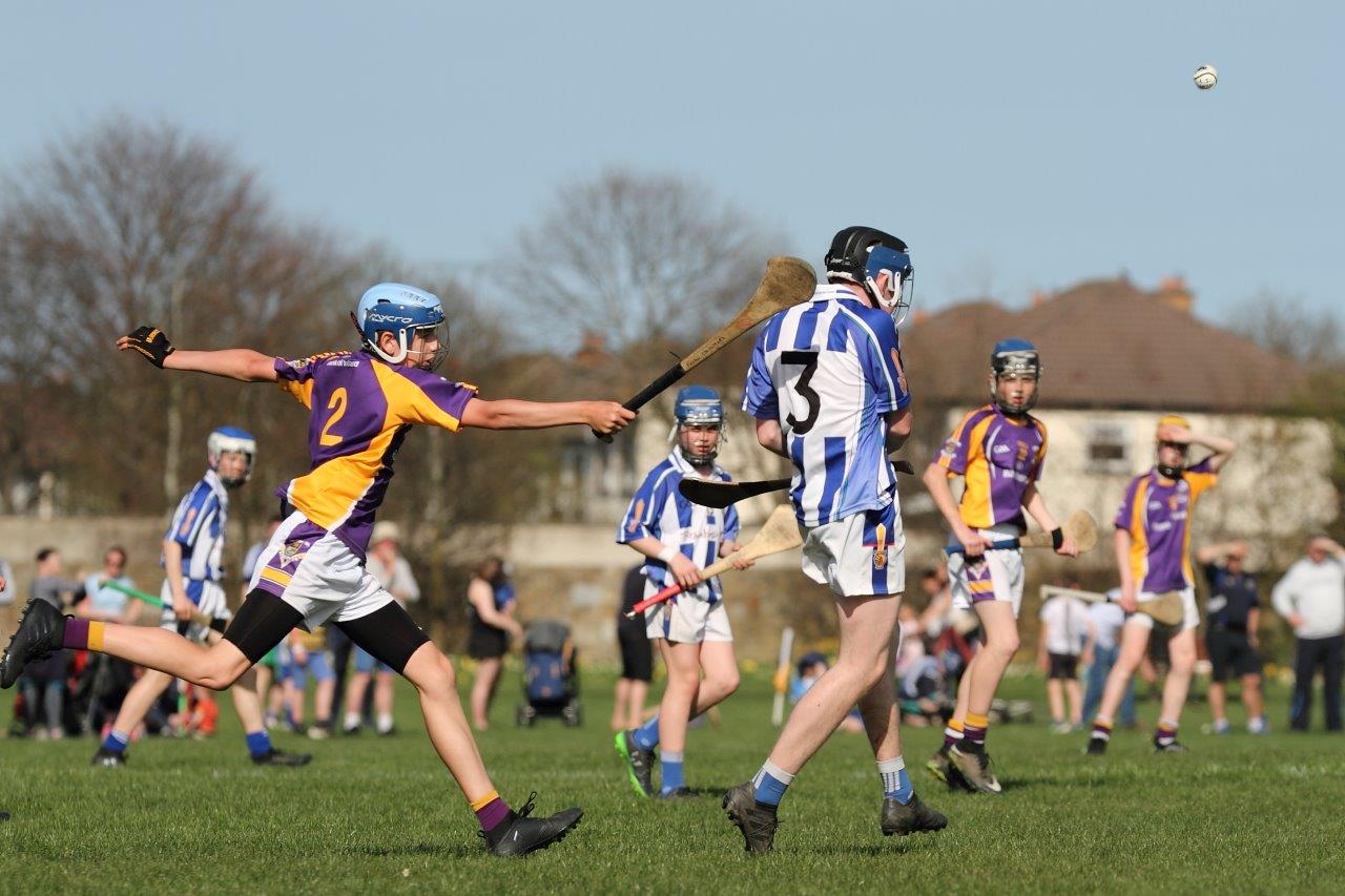 Hurling Féile Photos