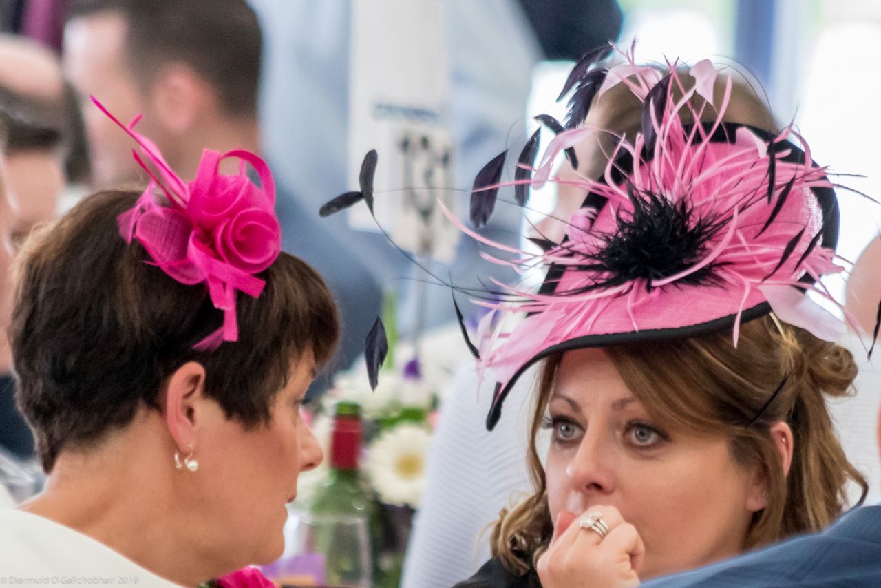 Punchestown 2018 Corporate Raceday - Report Out with Photos