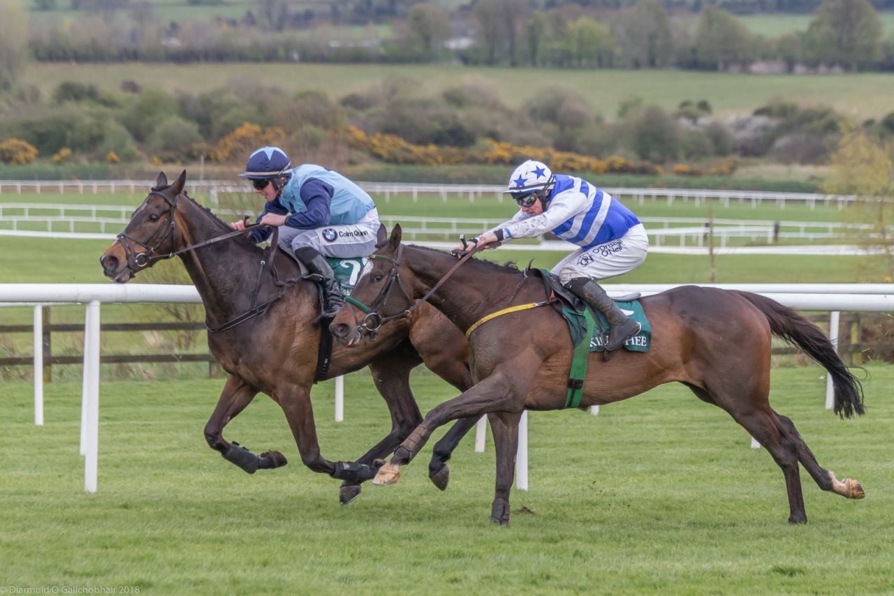 Punchestown 2018 Corporate Raceday - Report Out with Photos