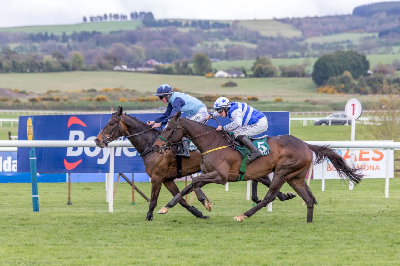 Punchestown 2018 Corporate Raceday - Report Out with Photos