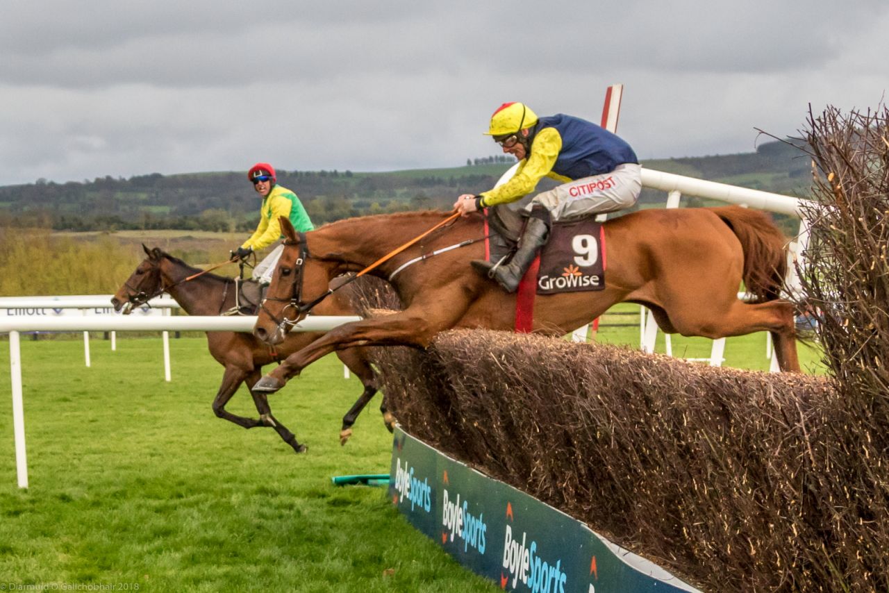 Punchestown 2018 Corporate Raceday - Report Out with Photos