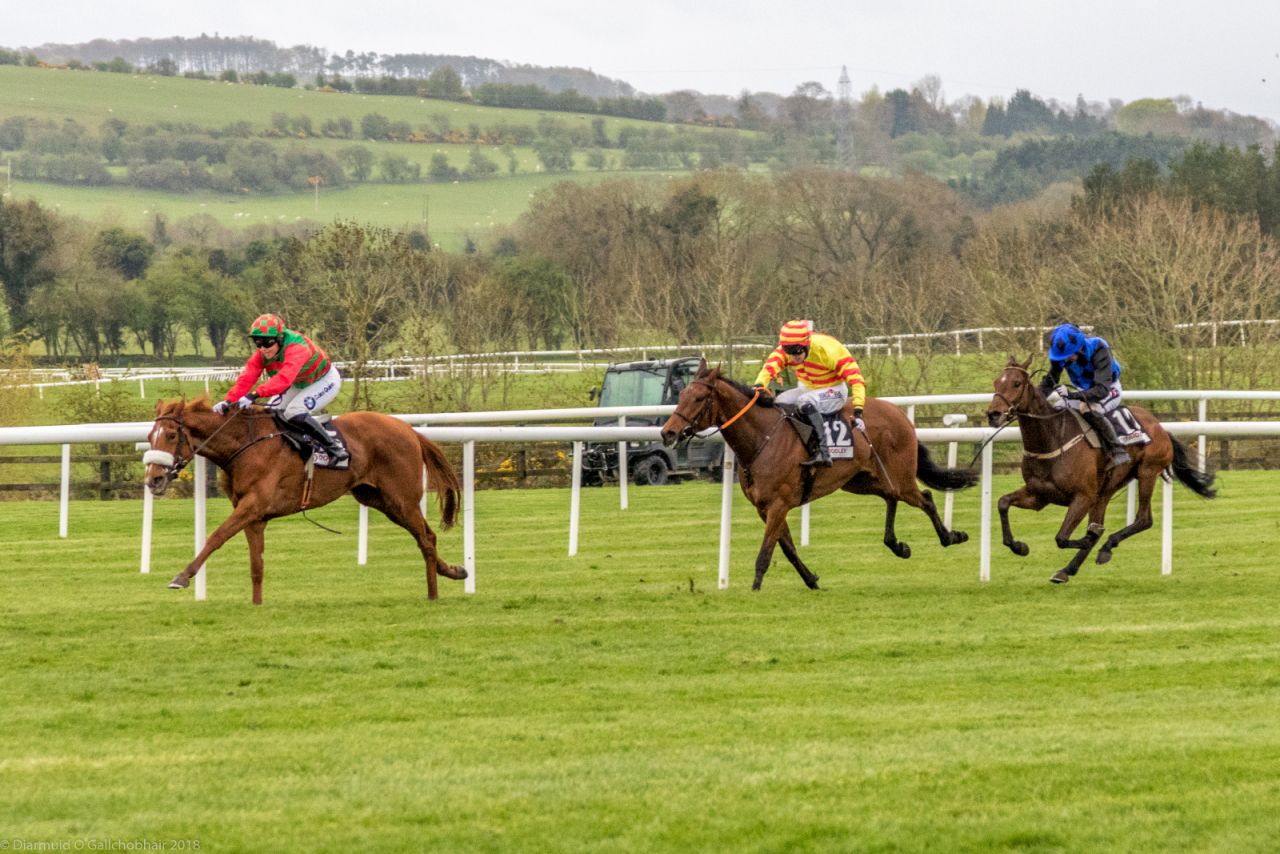 Punchestown 2018 Corporate Raceday - Report Out with Photos