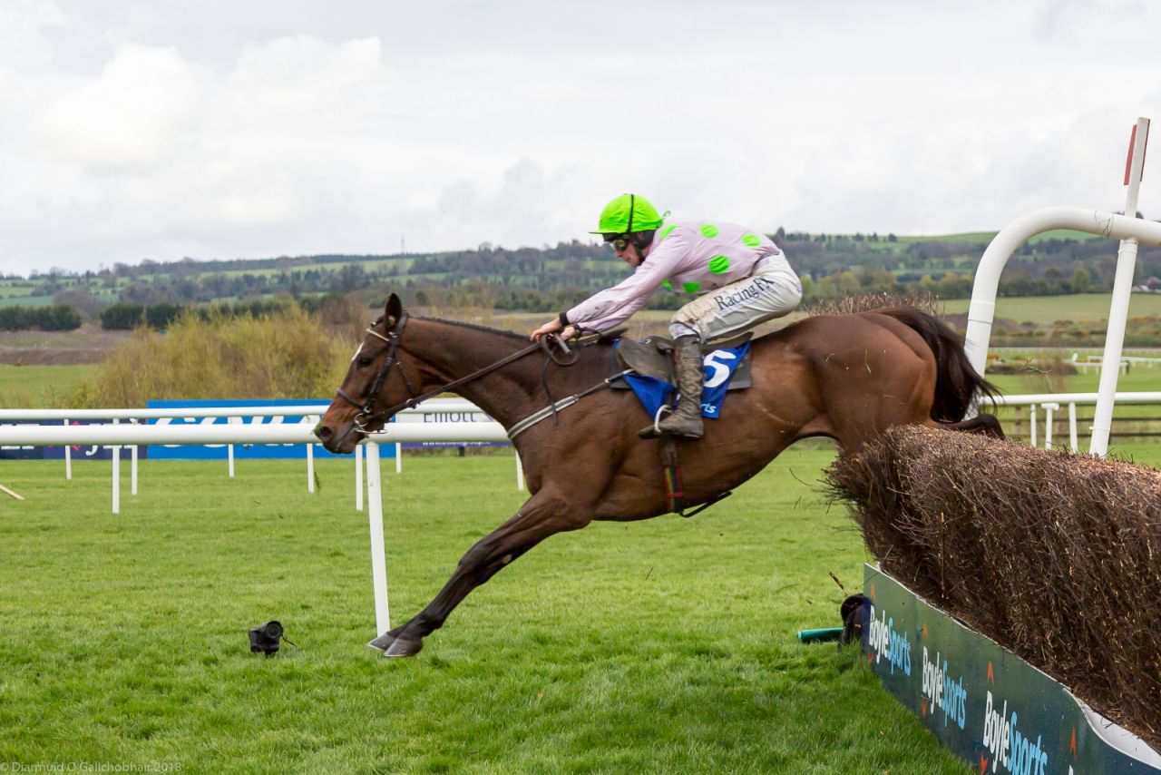 Punchestown 2018 Corporate Raceday - Report Out with Photos