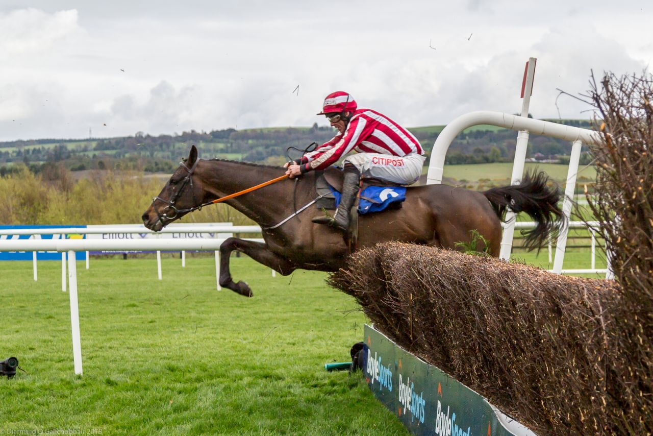 Punchestown 2018 Corporate Raceday - Report Out with Photos