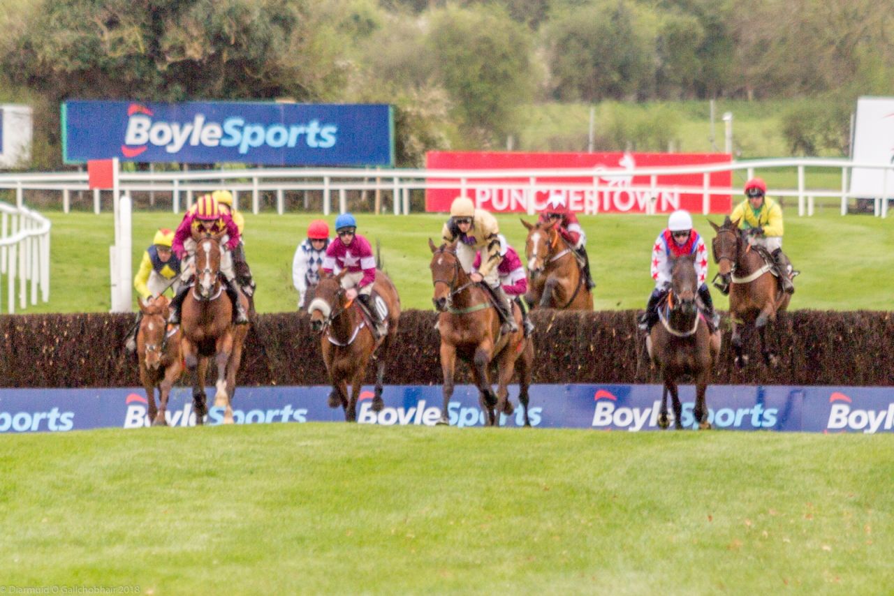 Punchestown 2018 Corporate Raceday - Report Out with Photos