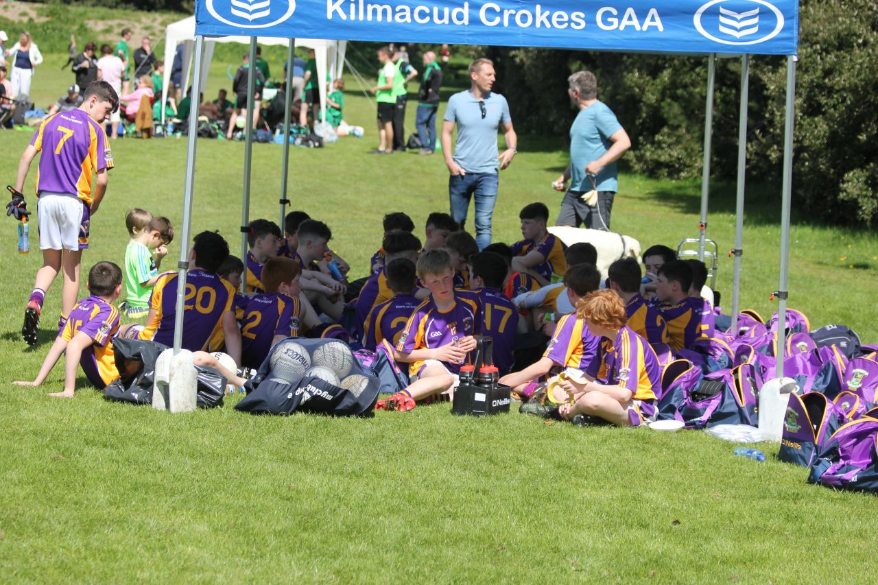 Feile Update