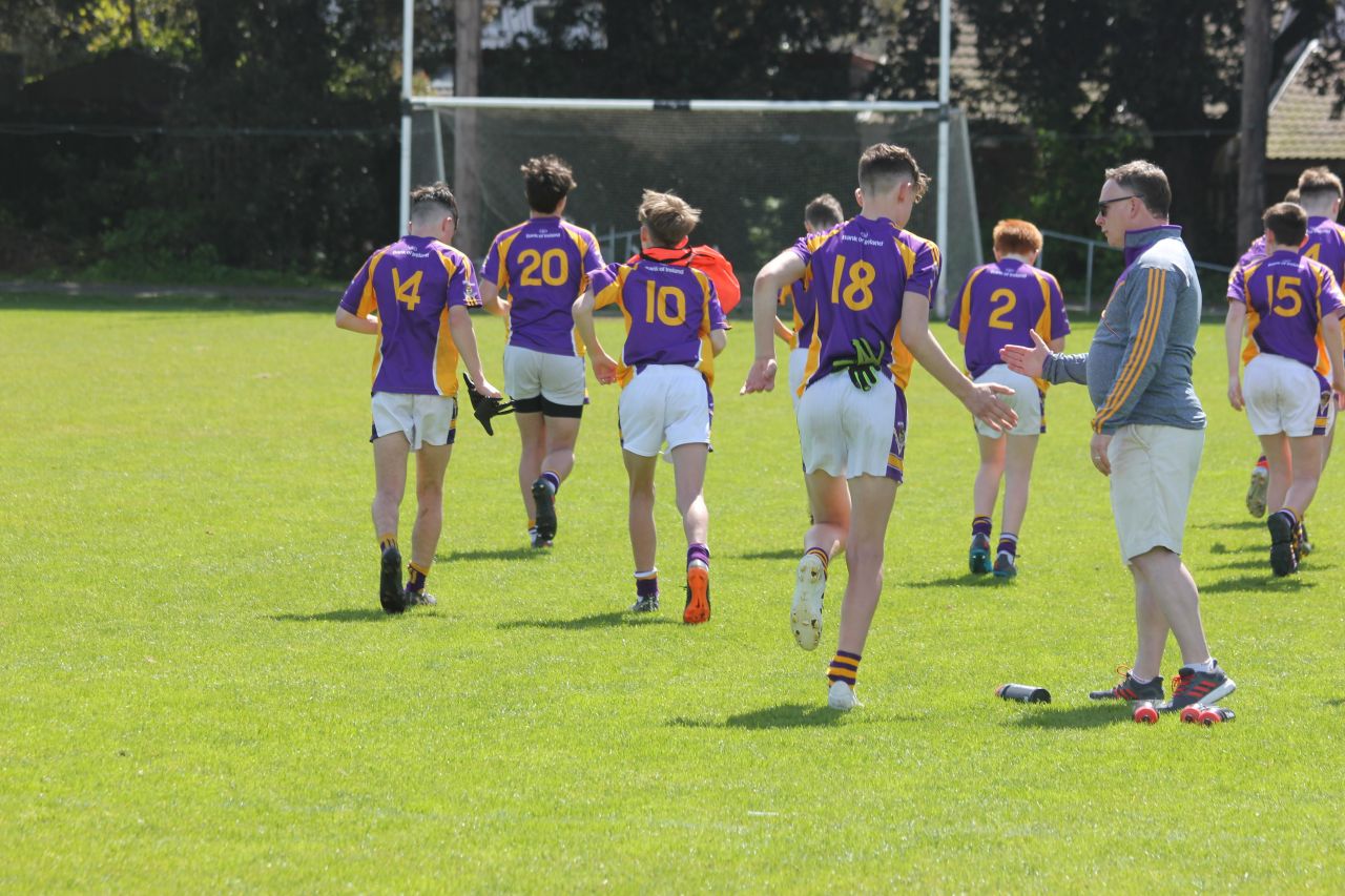 Feile Update