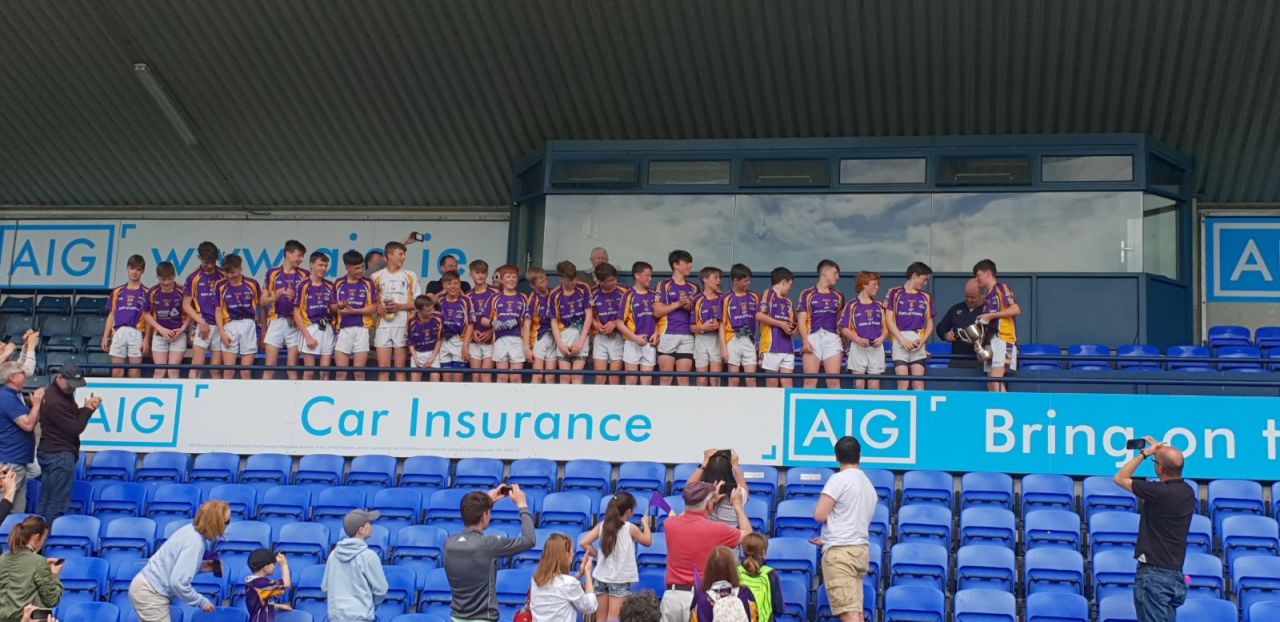 Kilmacud Crokes - Dublin County Feile Champions 2018