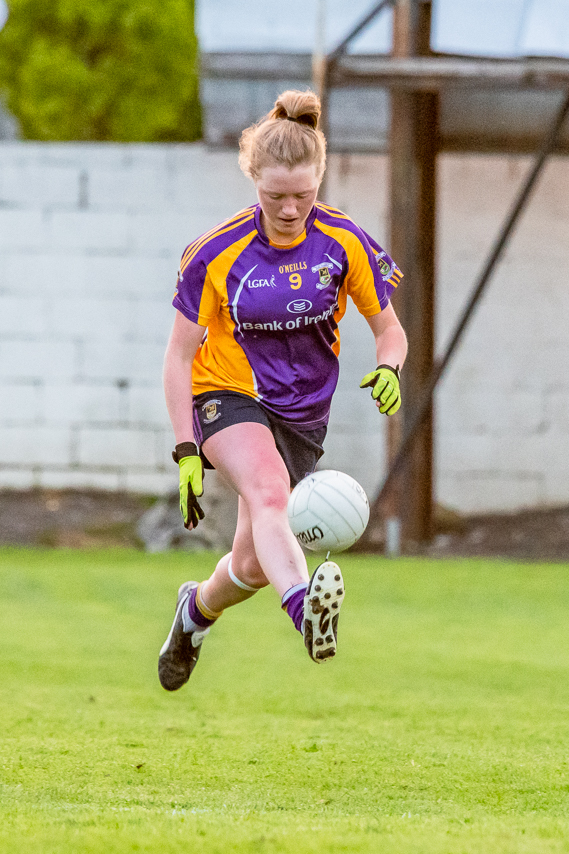 Ladies Adult Football Div 1 League KIlmacud Crokes V Ballyboden