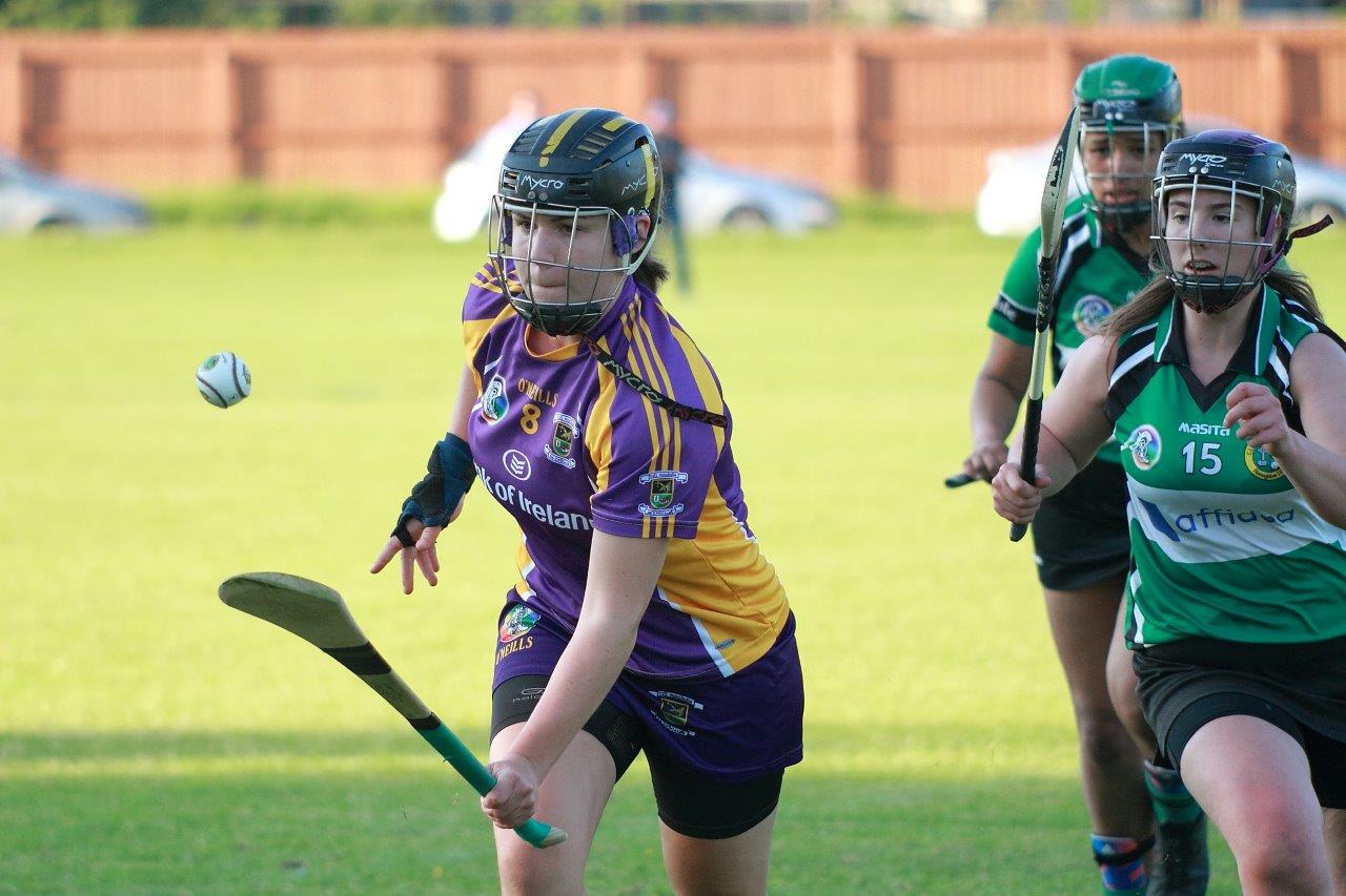 SeniorA Camogie team vs Erins Isle