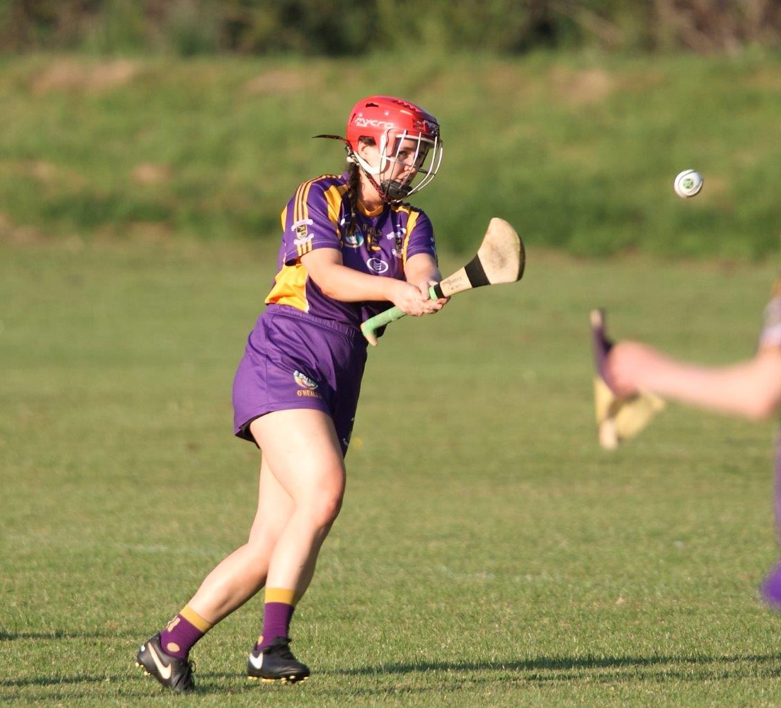 SeniorA Camogie team vs Erins Isle