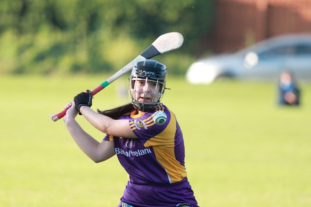 SeniorA Camogie team vs Erins Isle