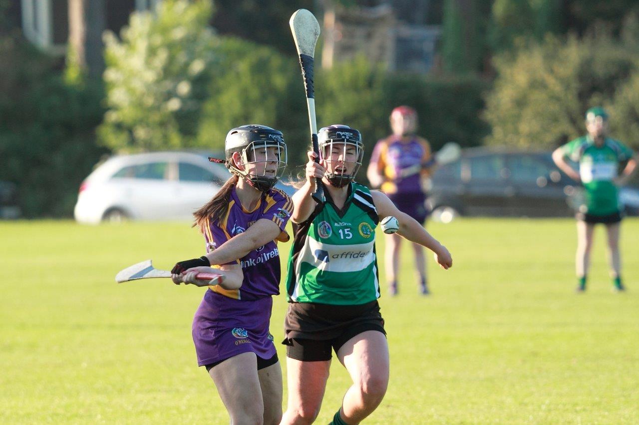 SeniorA Camogie team vs Erins Isle