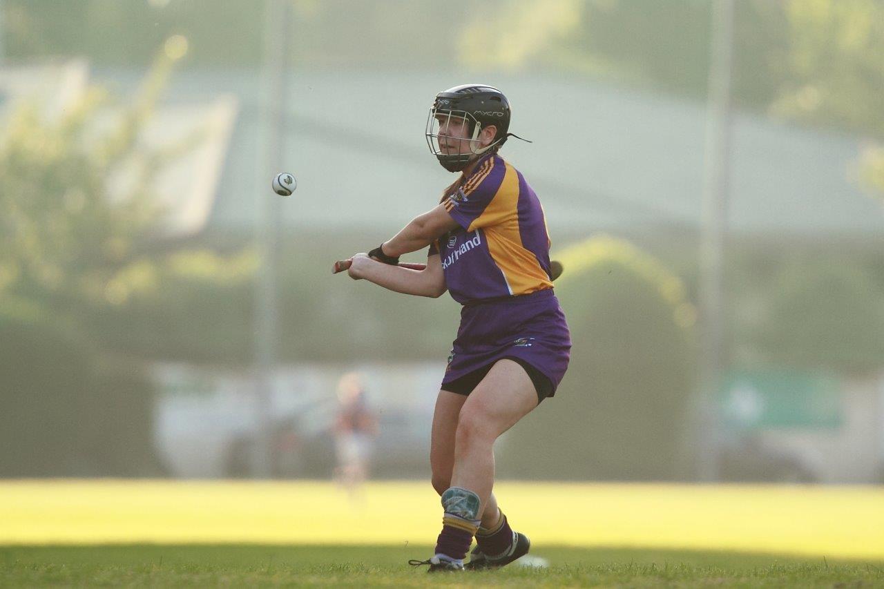 SeniorA Camogie team vs Erins Isle