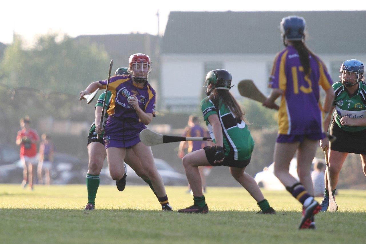 SeniorA Camogie team vs Erins Isle