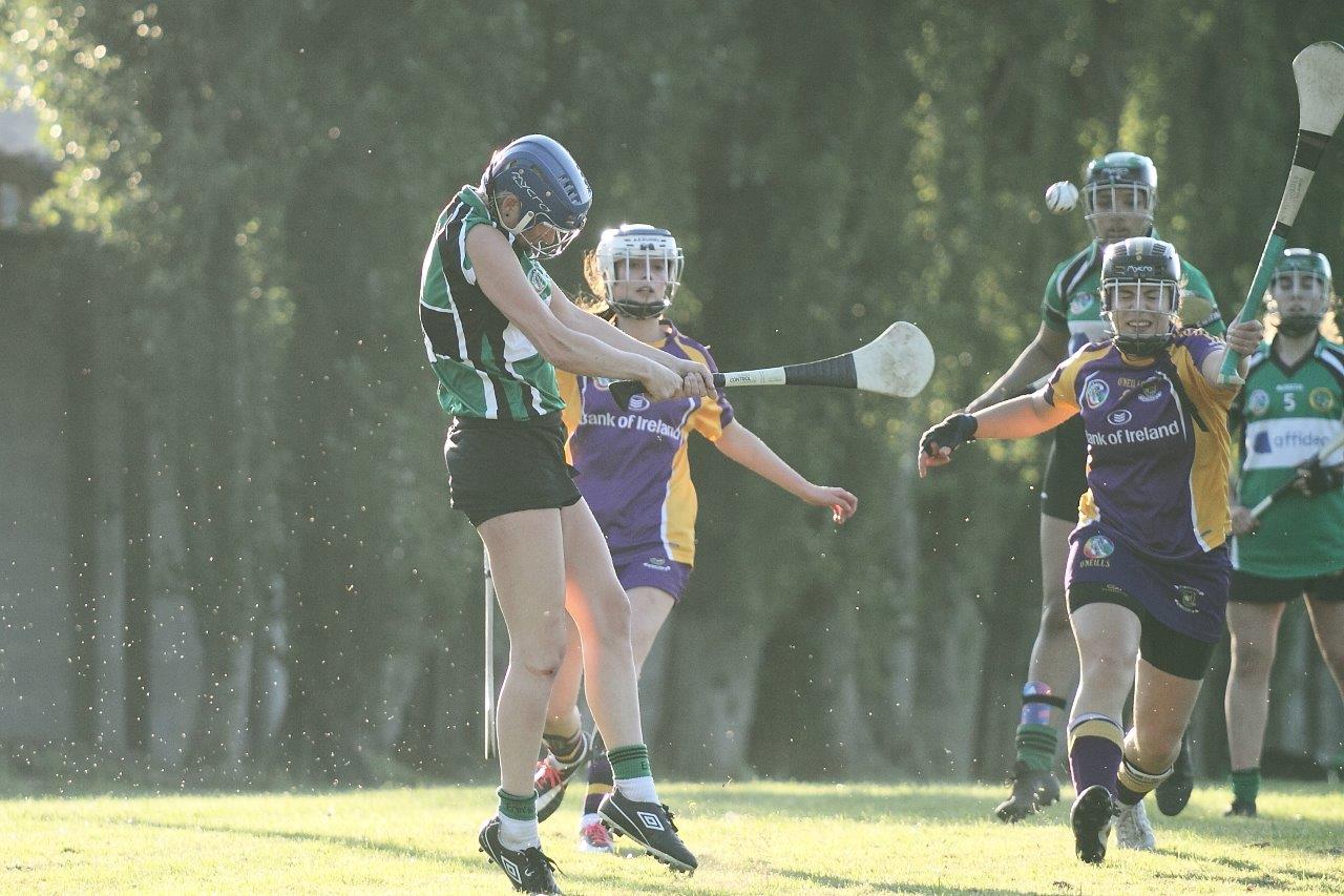 SeniorA Camogie team vs Erins Isle