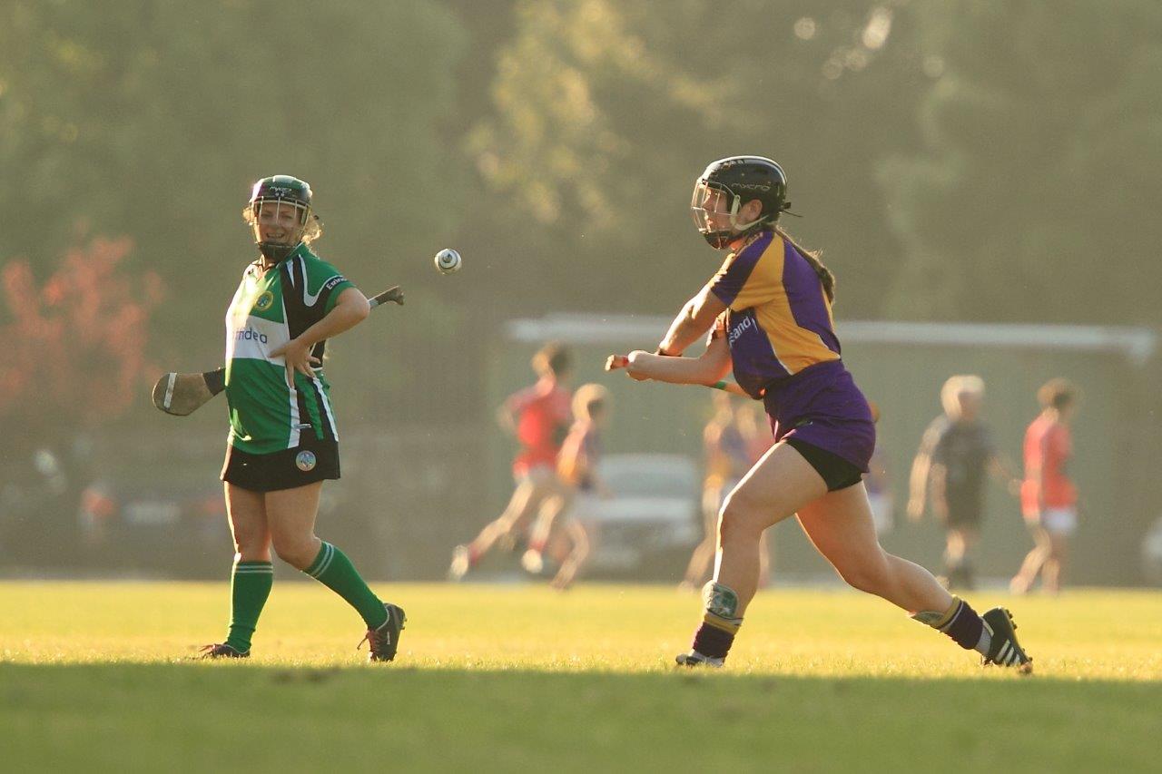 SeniorA Camogie team vs Erins Isle