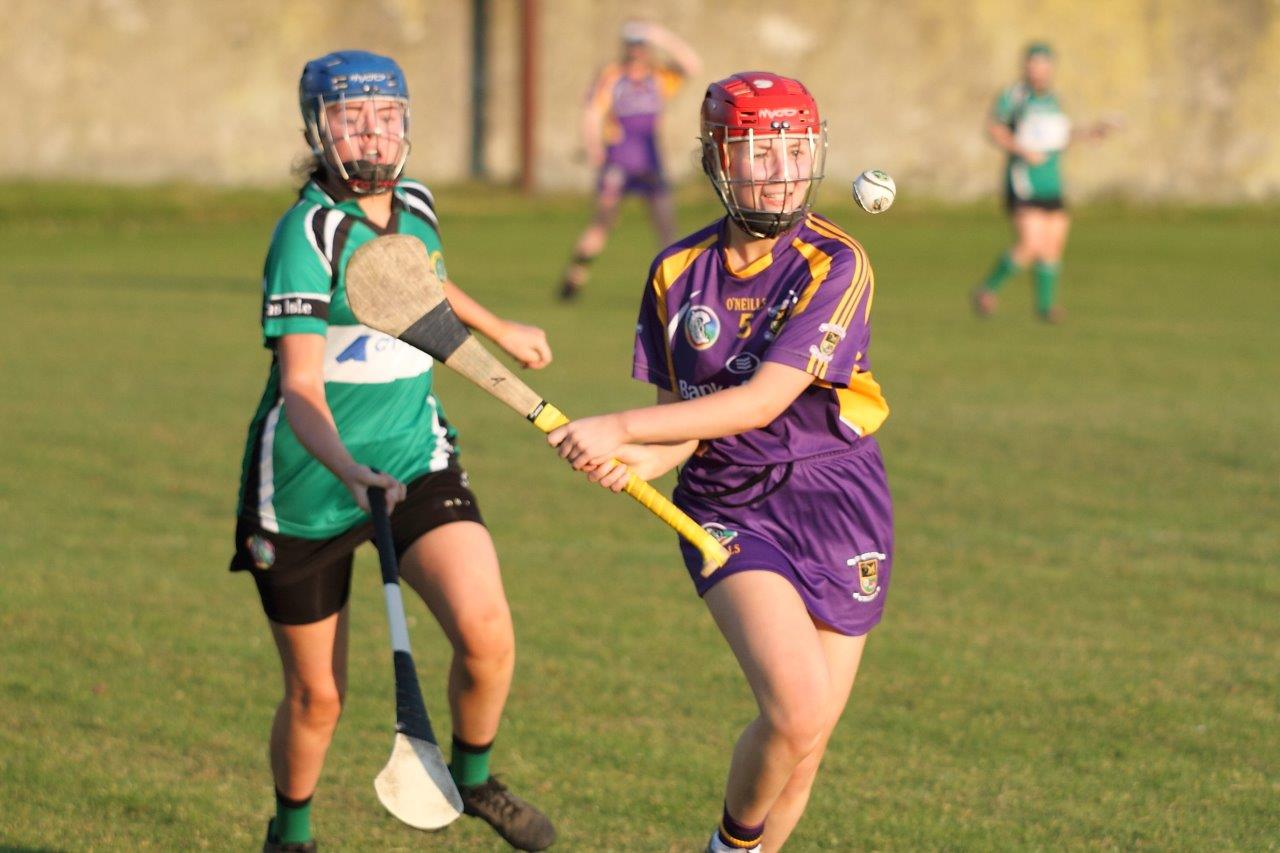 SeniorA Camogie team vs Erins Isle