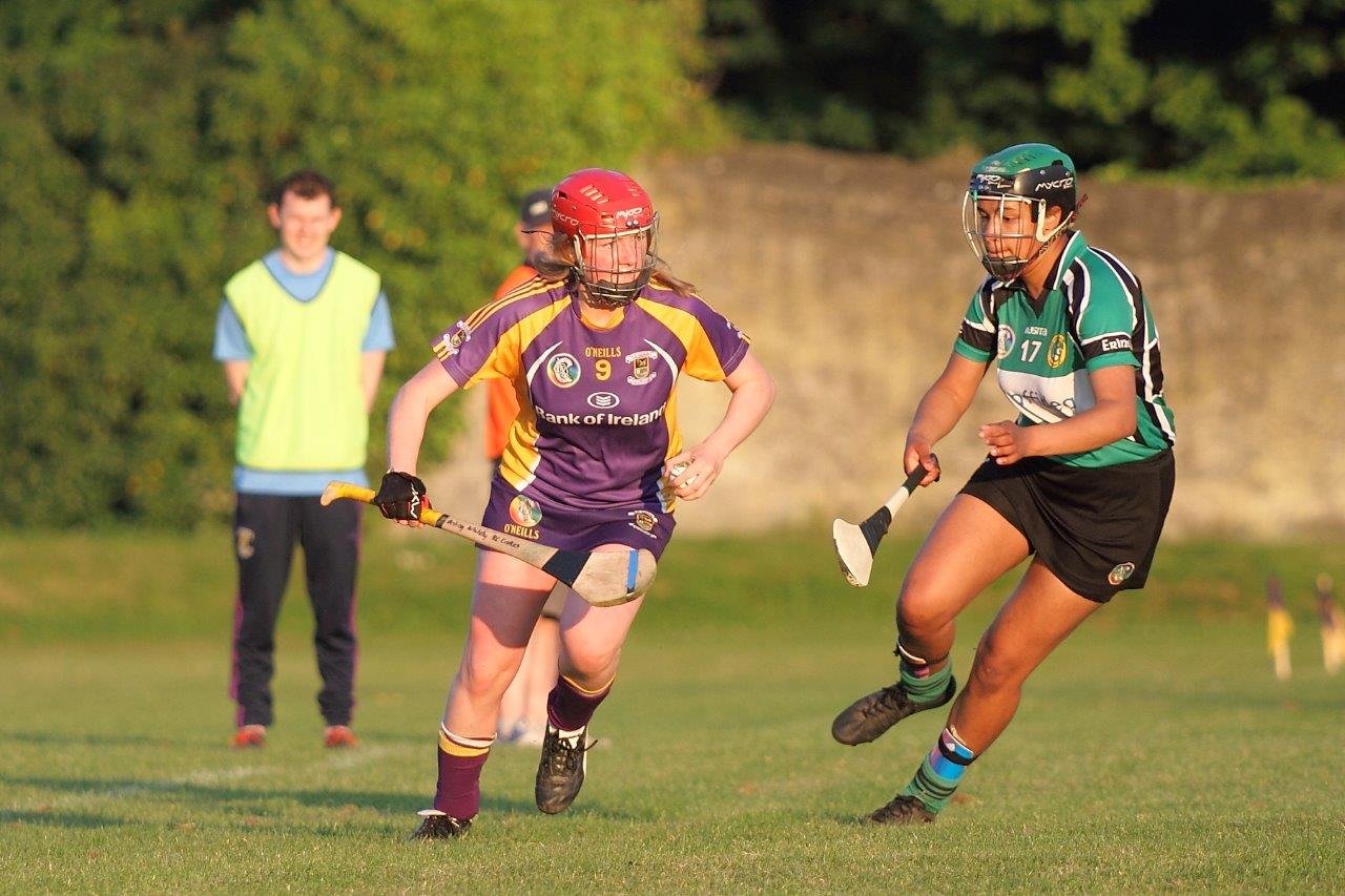 SeniorA Camogie team vs Erins Isle