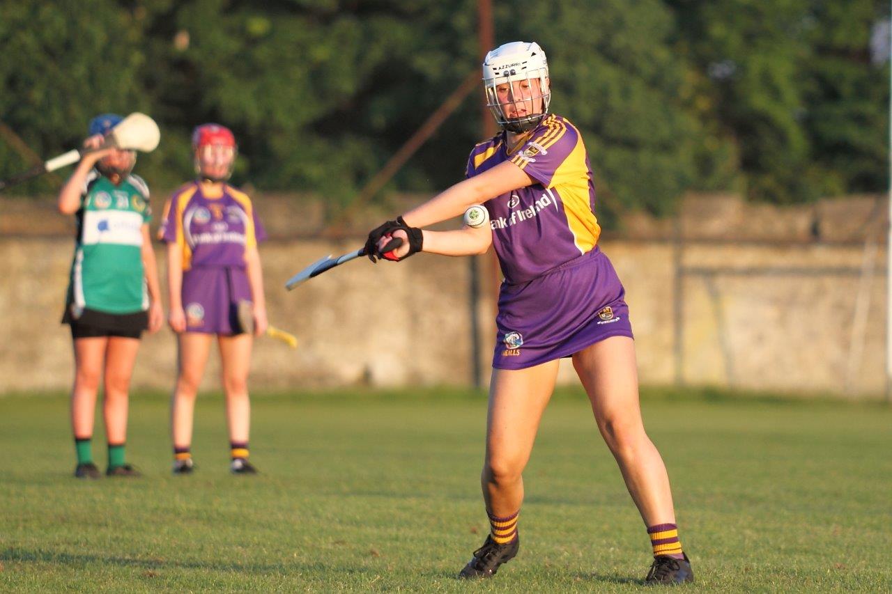 SeniorA Camogie team vs Erins Isle