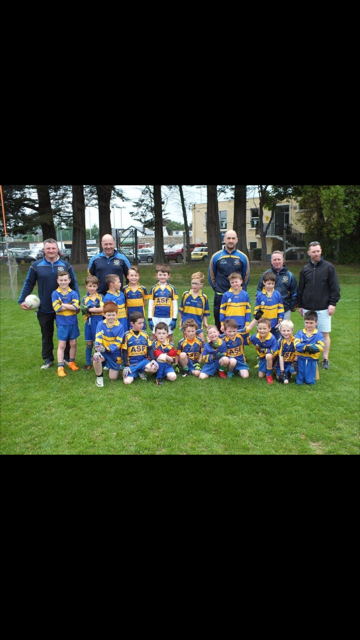  Under 8's Intercounty blitz  Sunday 27th May Parc De Burca