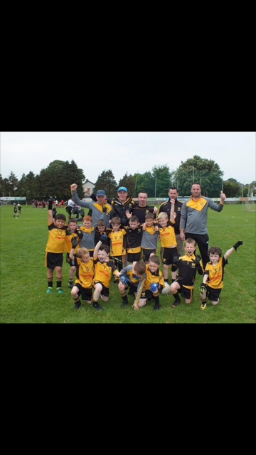  Under 8's Intercounty blitz  Sunday 27th May Parc De Burca