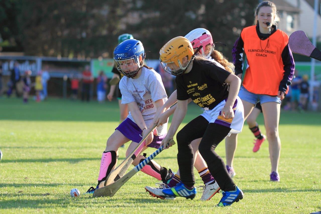 Photos from Mini All Ireland Camogie and Ladies Football Finals