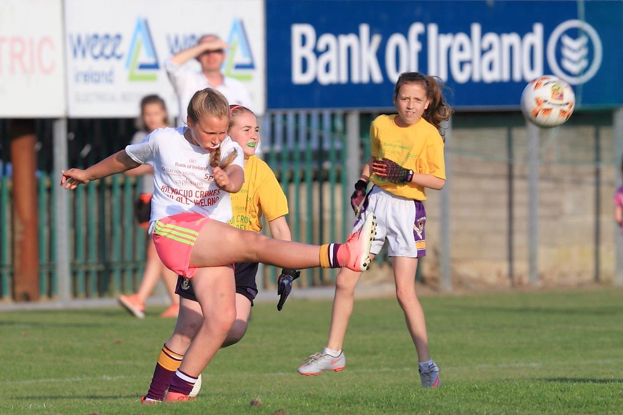 Photos from Mini All Ireland Camogie and Ladies Football Finals