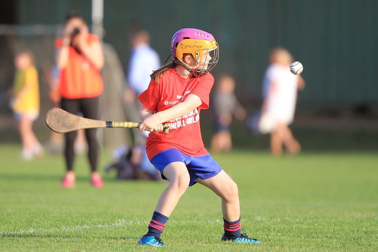 Photos from Mini All Ireland Camogie and Ladies Football Finals