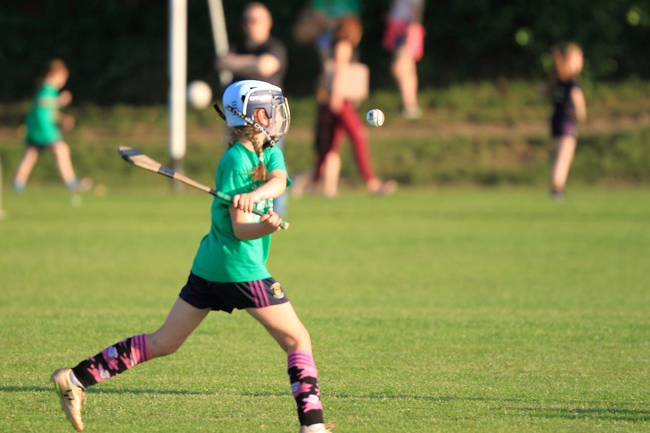 Photos from Mini All Ireland Camogie and Ladies Football Finals