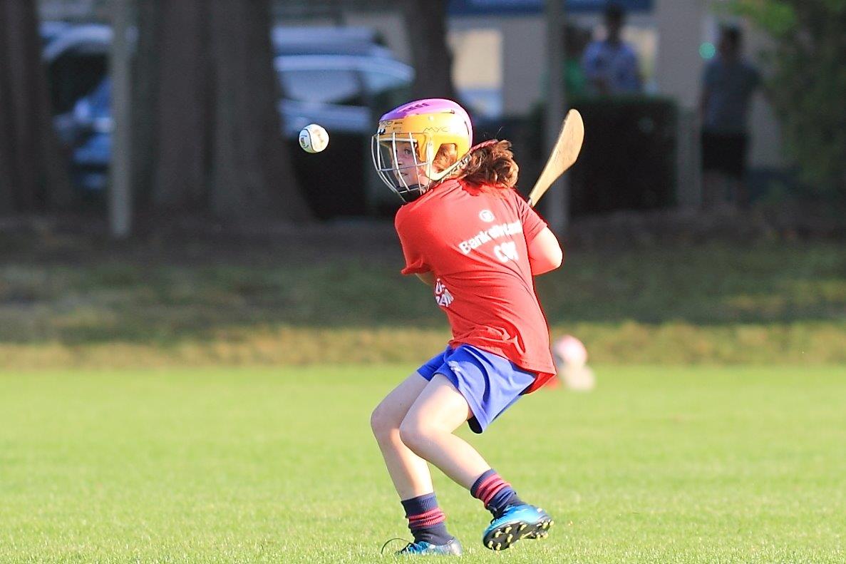 Photos from Mini All Ireland Camogie and Ladies Football Finals