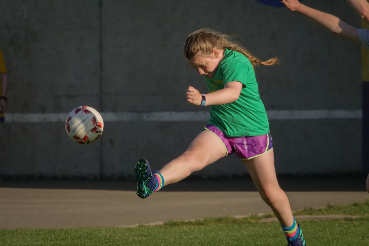 Photos from Mini All Ireland Camogie and Ladies Football Finals