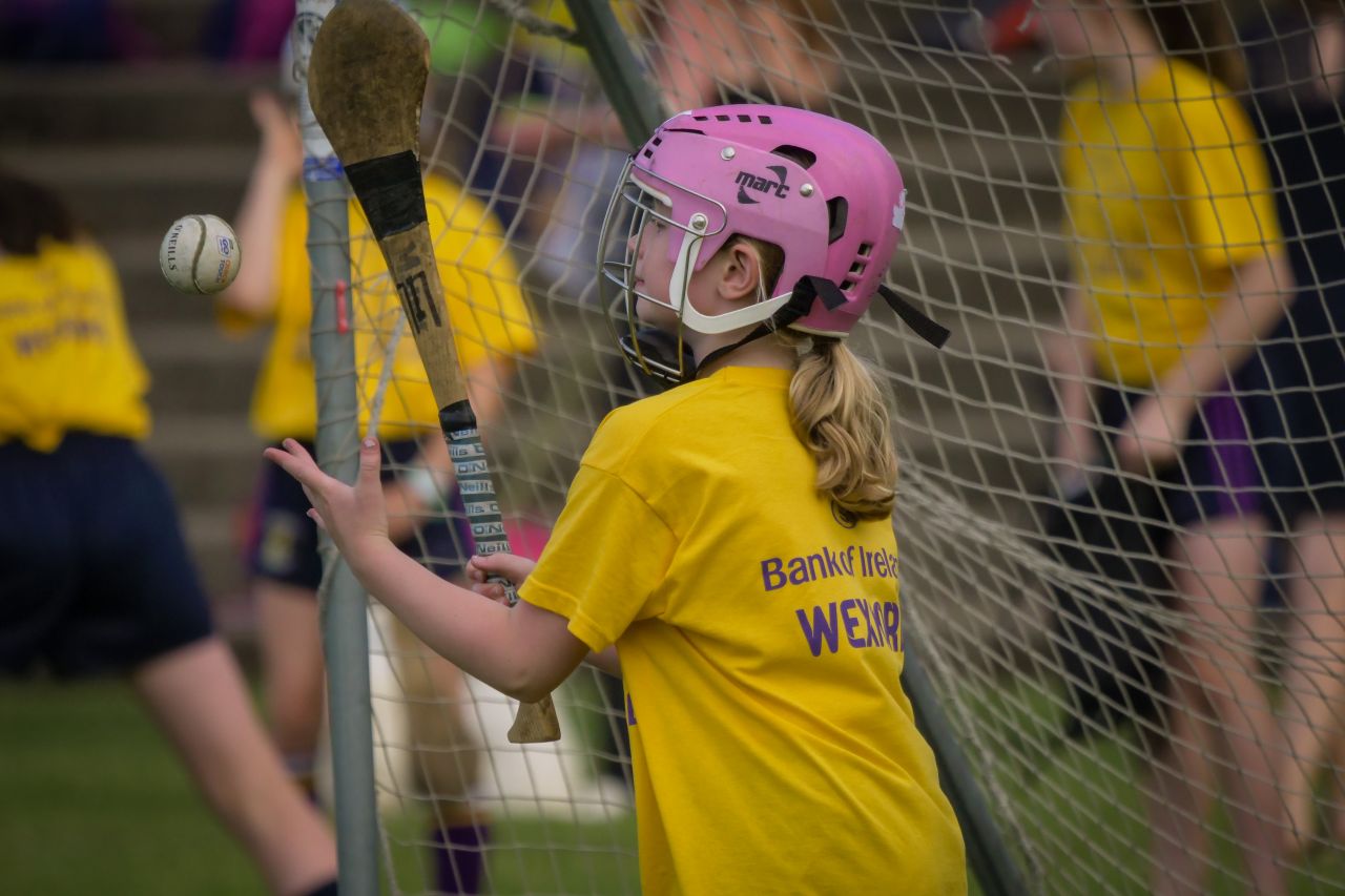 Photos from Mini All Ireland Camogie and Ladies Football Finals