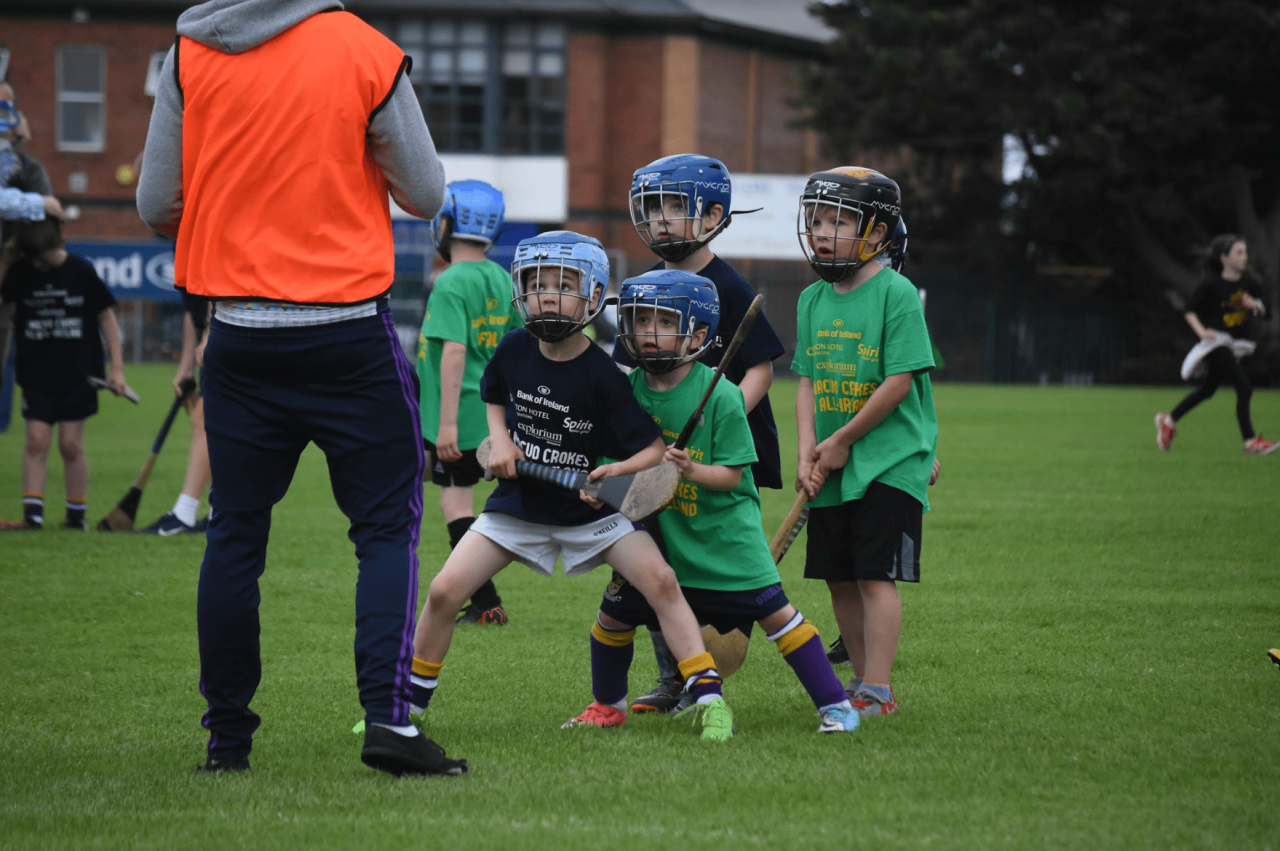 Photos from  Mini All Ireland Hurling matches