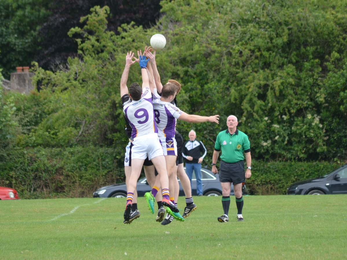 Murphy Cup Game Kilmacud Crokes V St Peregrines