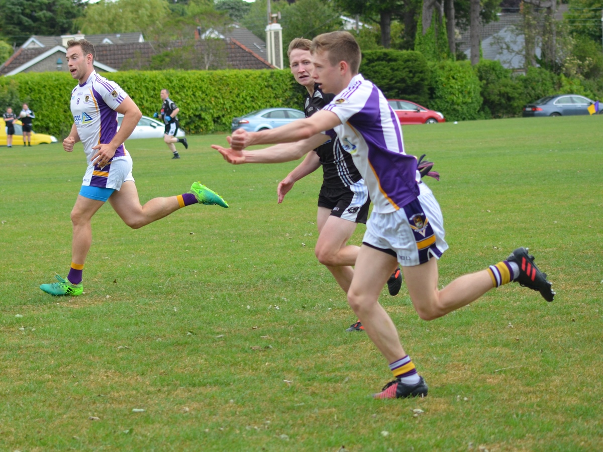 Murphy Cup Game Kilmacud Crokes V St Peregrines