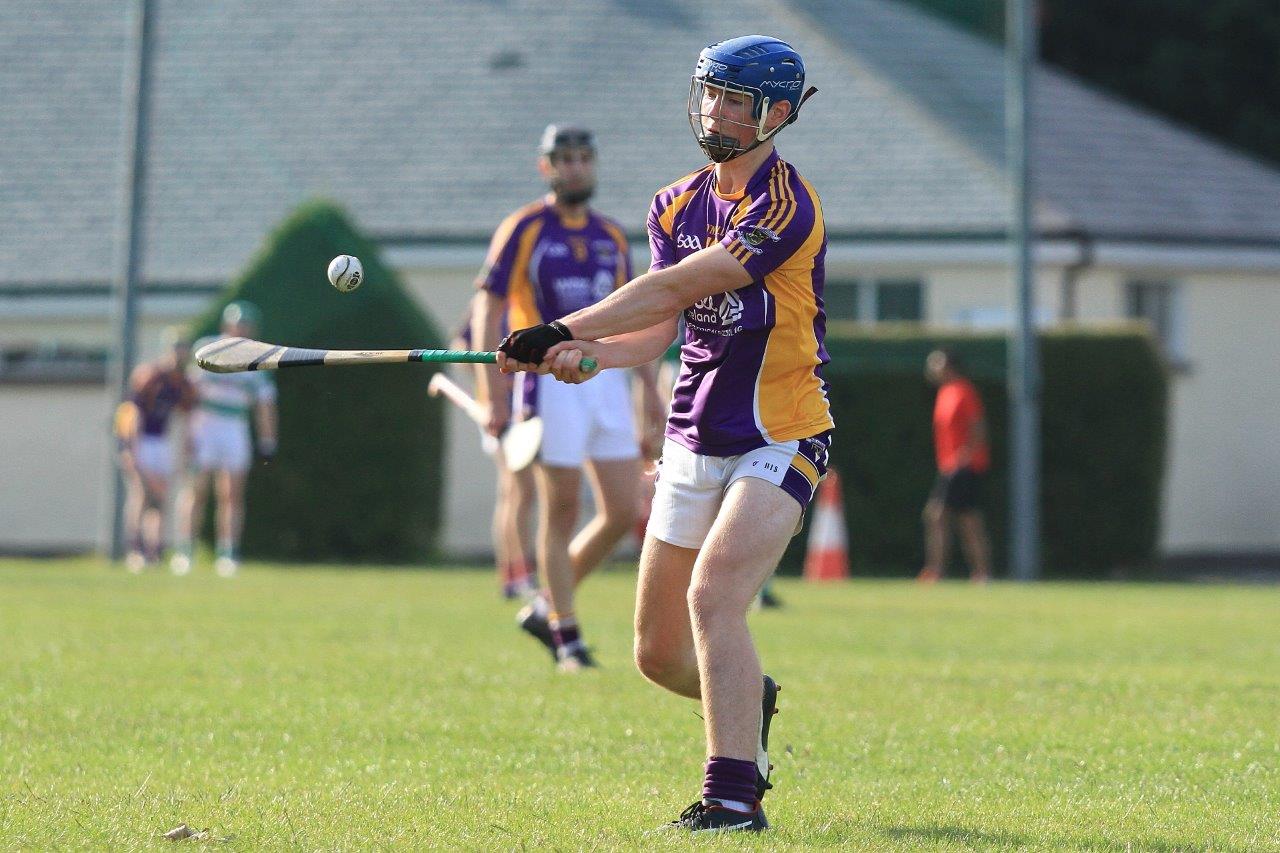 Senior B Hurlers vs Round Towers in Championship