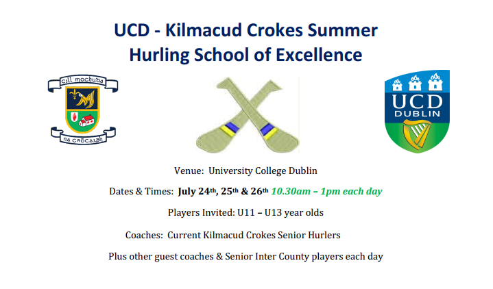 Hurling School Of Excellence 