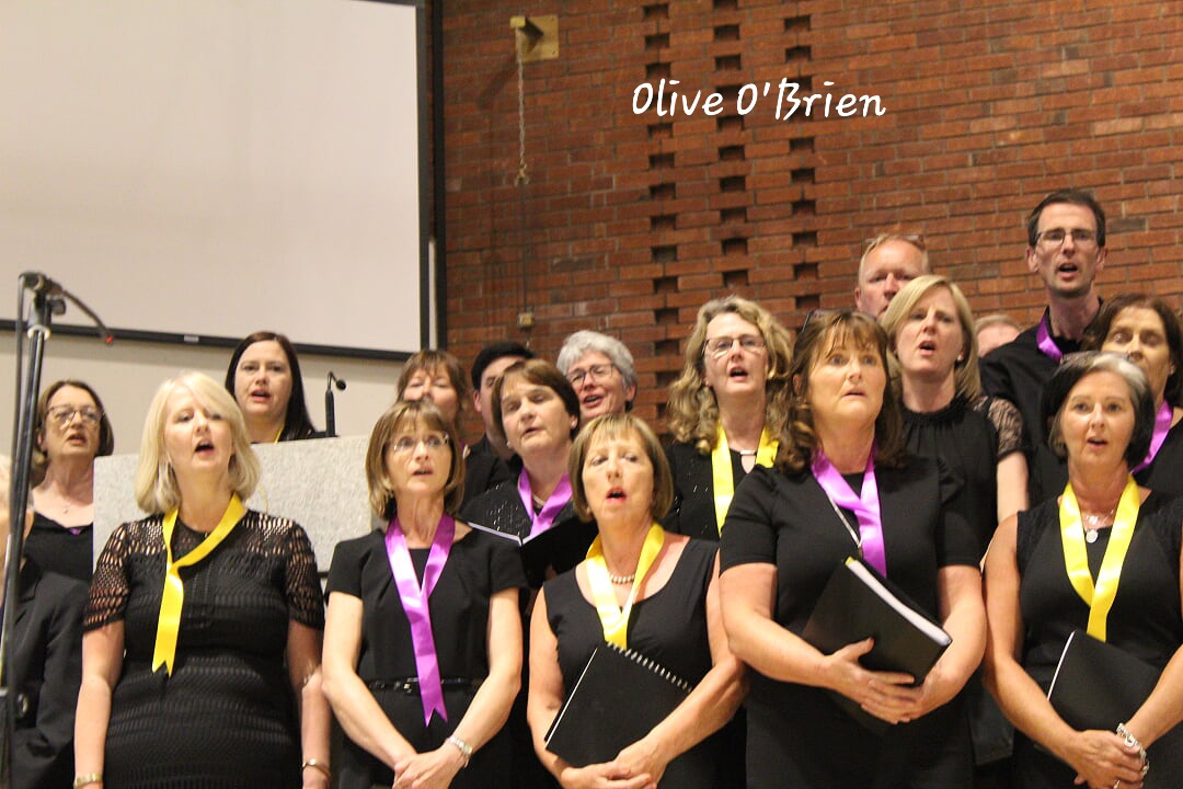 Photo's From The Walk While You Can Concert Featuring Kilmacud Crokes Choir Friday June 22nd