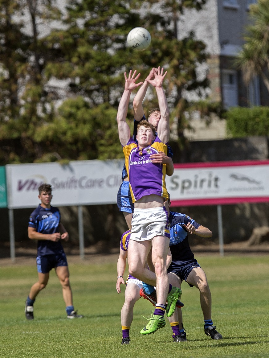 Kilmacud Crokes Minor League Division 1 Winners 2018